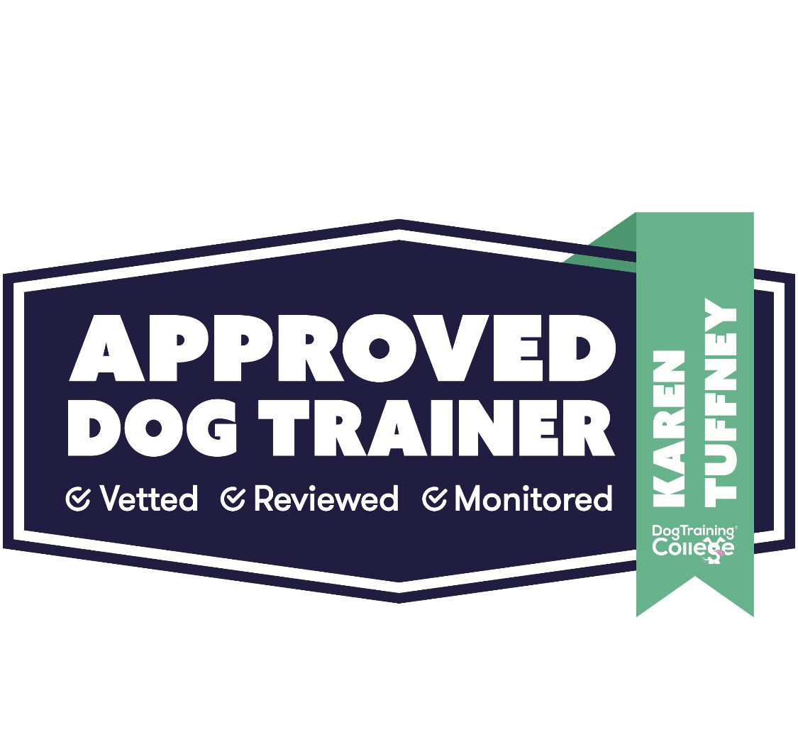 Approved Dog Trainer Dog Training College