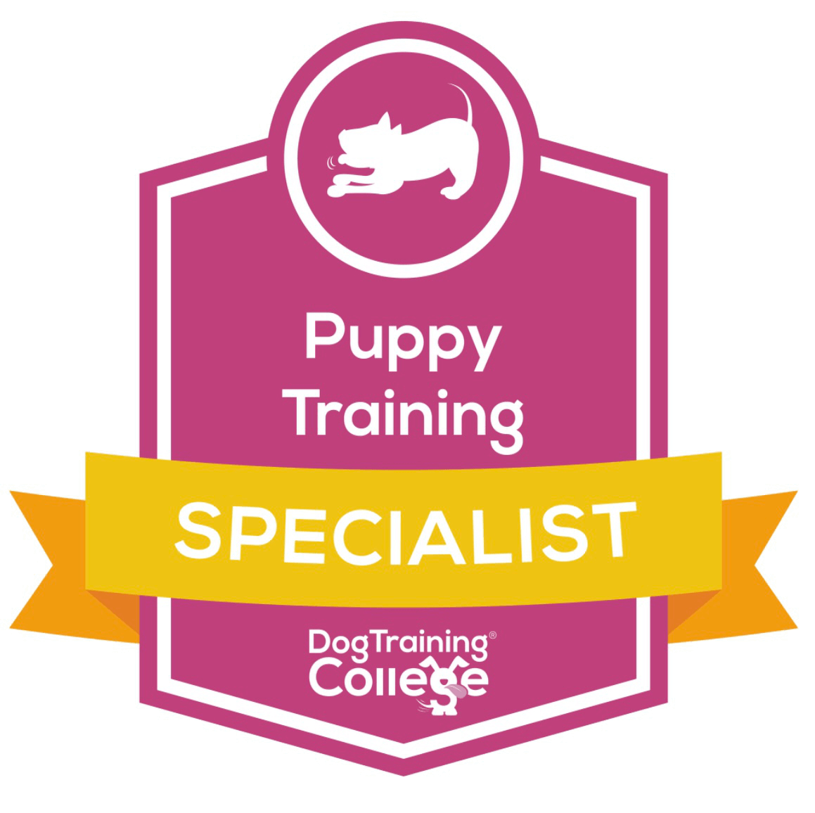 Puppy Training Specialist